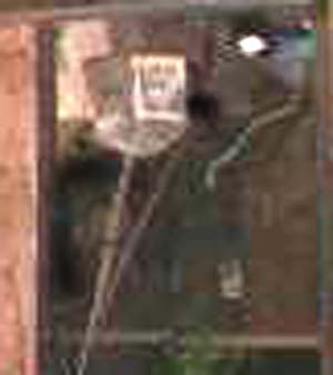 e0103408_14252780.jpg