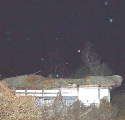 e0103408_1426436.jpg
