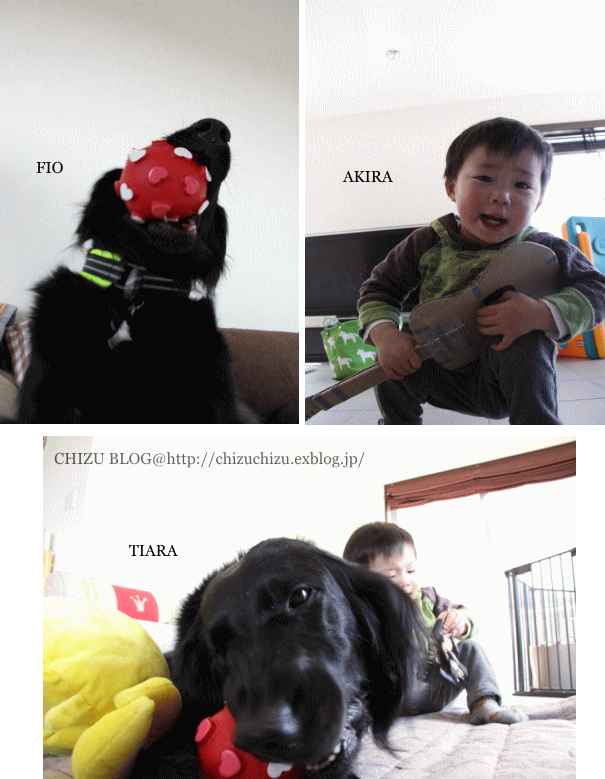 c0017311_18494763.gif