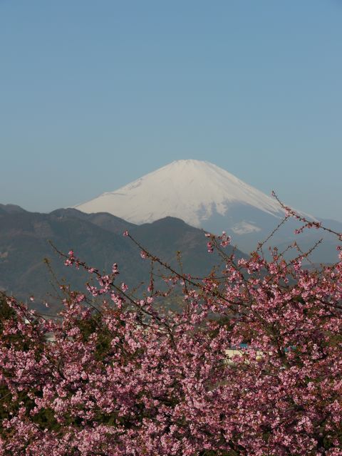 c0039114_2361134.jpg