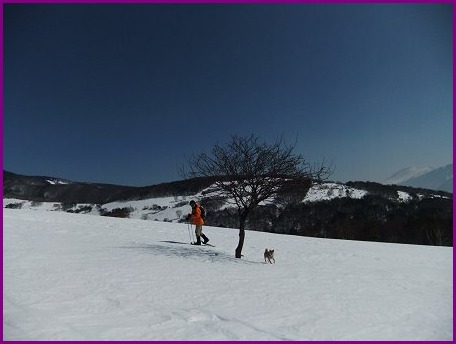 d0143214_0281926.jpg