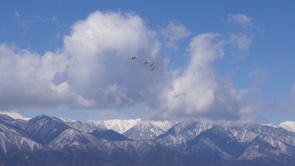 f0233414_21141036.jpg