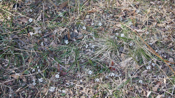 f0233414_21521223.jpg