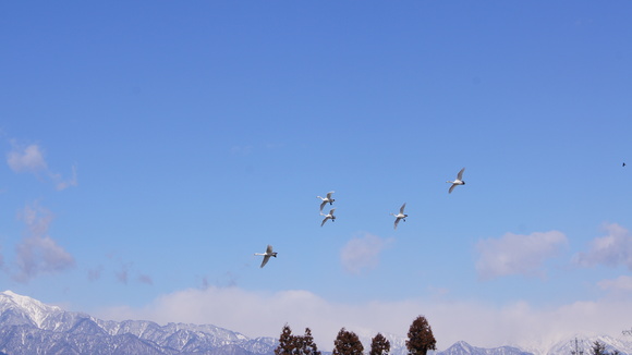 f0233414_217498.jpg