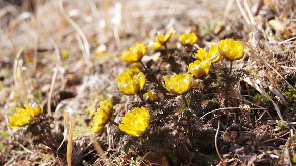 f0233414_2252827.jpg