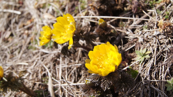 f0233414_2263879.jpg