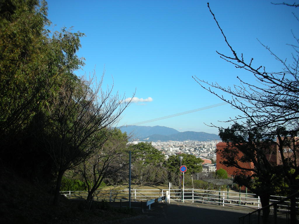 d0149722_202998.jpg