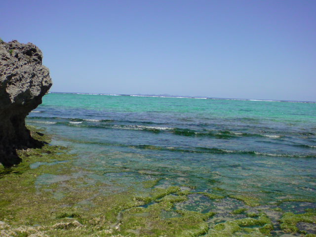 e0016828_13181827.jpg