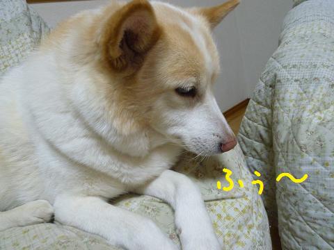 b0138430_21321751.jpg
