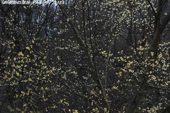 a0195032_22334977.jpg