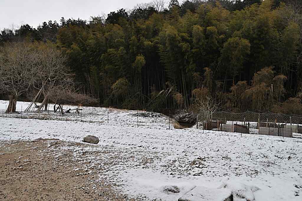 b0129533_211139.jpg