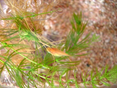 e0097534_1102691.jpg