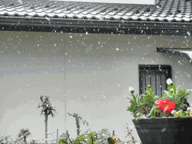 c0136736_17212778.gif