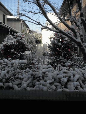 c0136736_17225110.gif