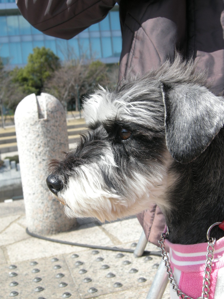 f0193836_1583254.jpg