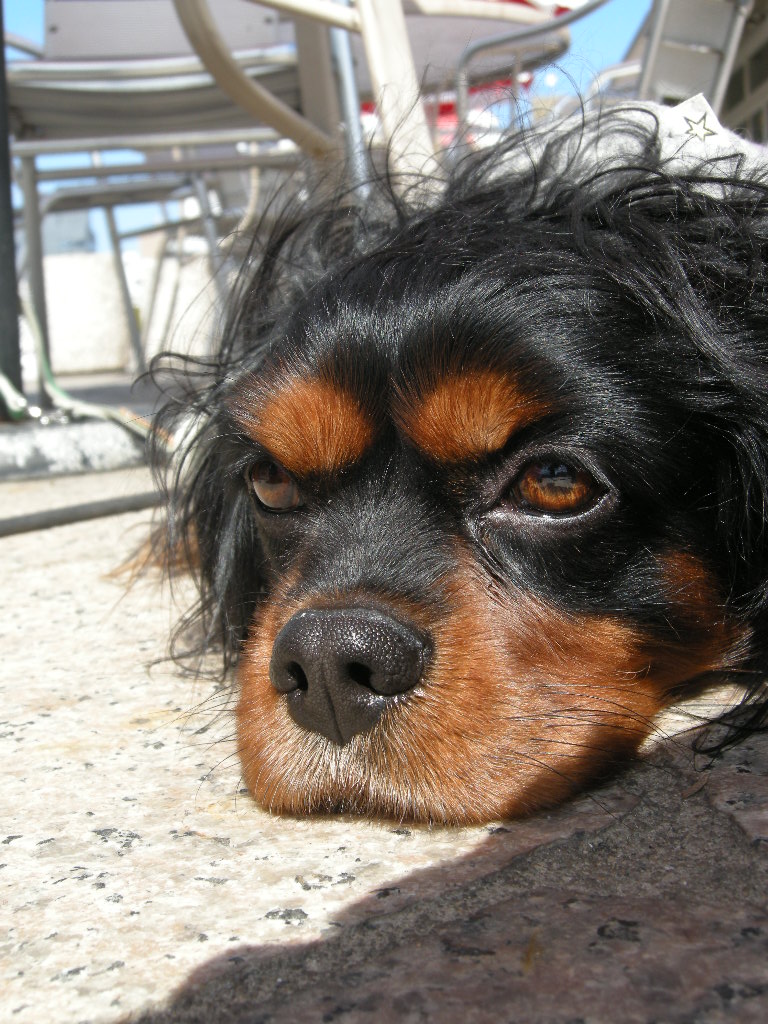 f0193836_1592160.jpg