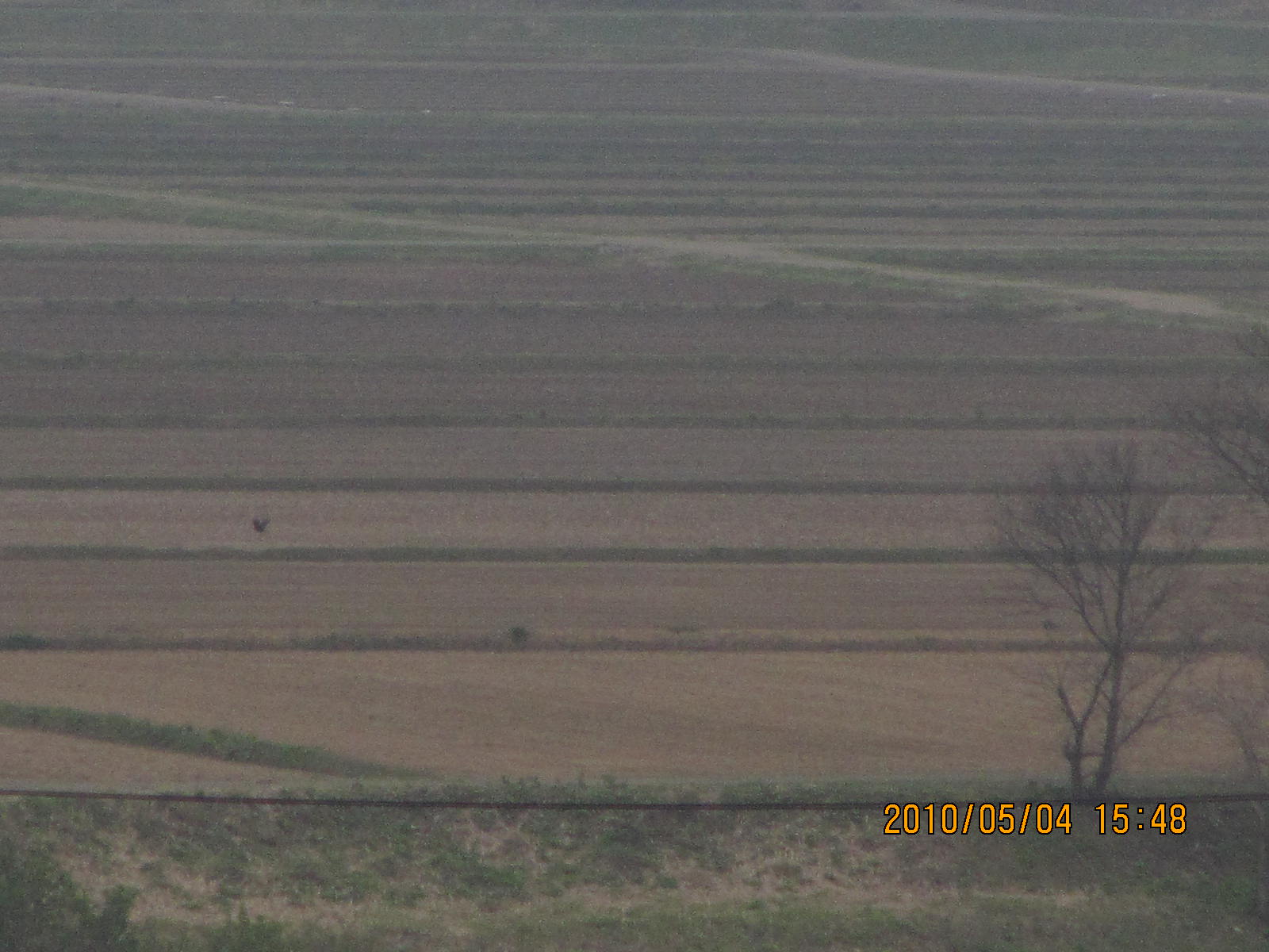 e0224637_2344767.jpg