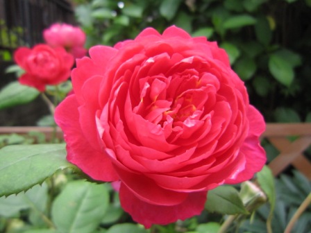 c0025140_2372840.jpg