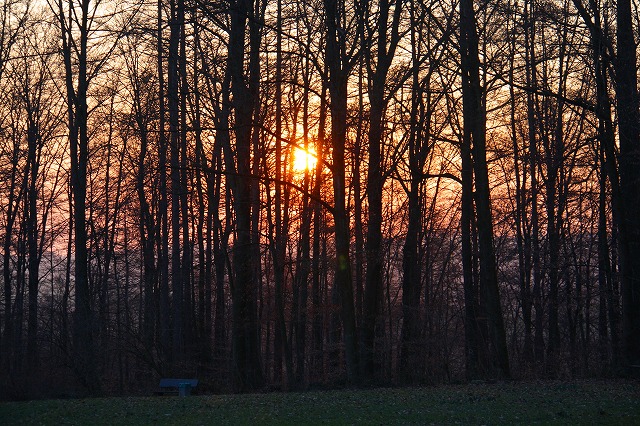 c0153740_4503070.jpg