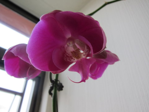 e0018143_16102517.jpg