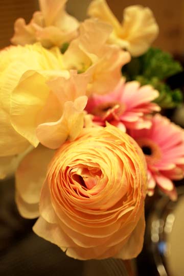 a0042044_19502364.jpg