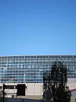 e0080345_919250.jpg