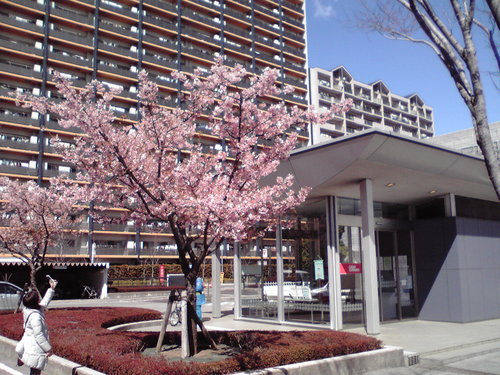 f0057955_21505416.jpg