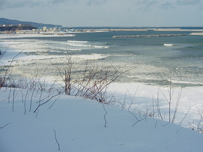 e0004756_212297.jpg
