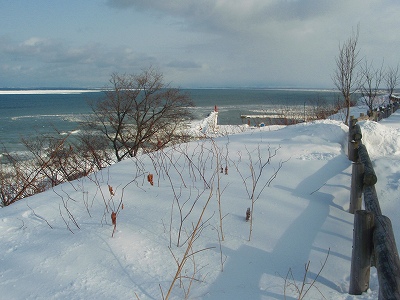 e0004756_2145071.jpg