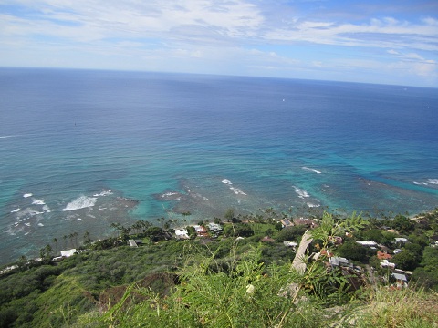 d0158258_12413550.jpg