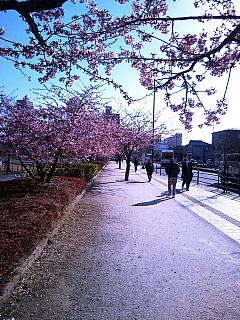 a0157160_2234524.jpg