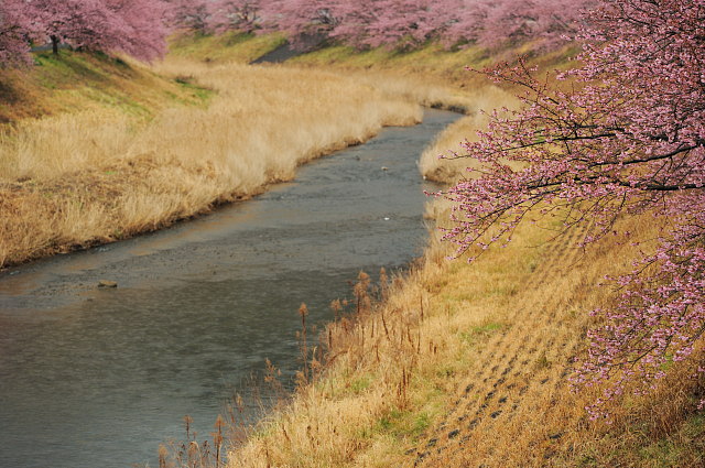f0222161_9591157.jpg