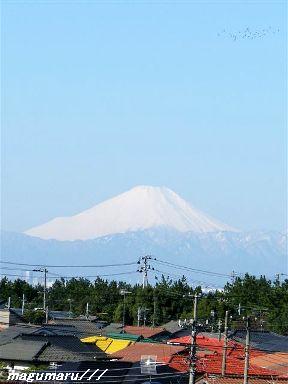 a0166465_13344621.jpg