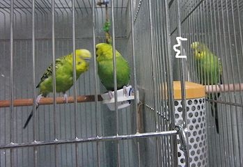f0196665_0102176.jpg