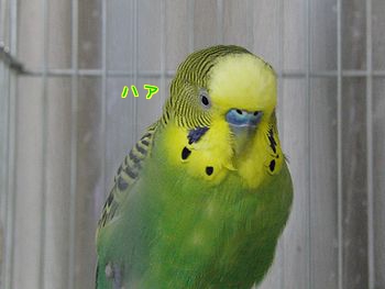 f0196665_0114887.jpg