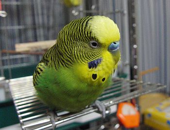 f0196665_04963.jpg