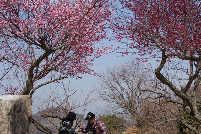 a0091666_11571119.jpg