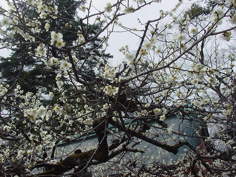 b0194872_21242581.jpg