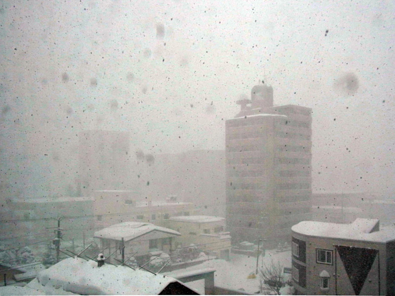 e0100772_2234439.jpg
