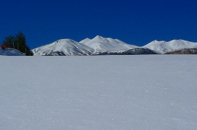 f0182173_2217482.jpg