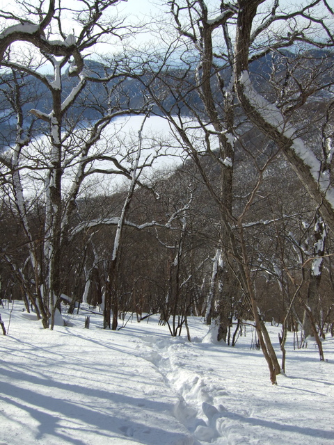 a0094280_17342851.jpg