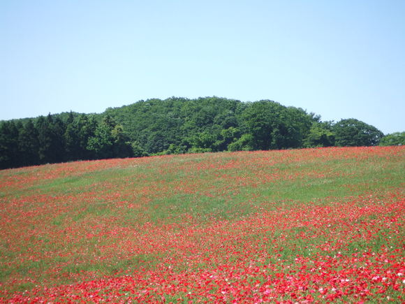 a0186689_03134.jpg