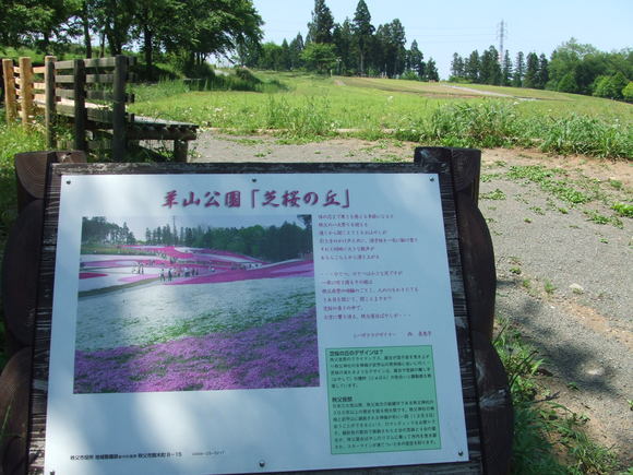 a0186689_0334992.jpg