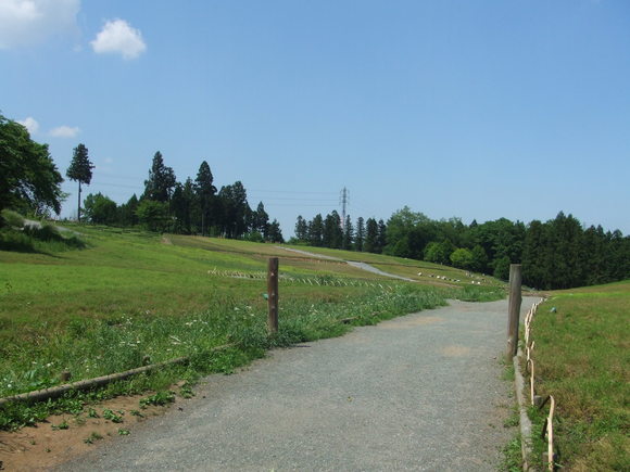 a0186689_0345114.jpg