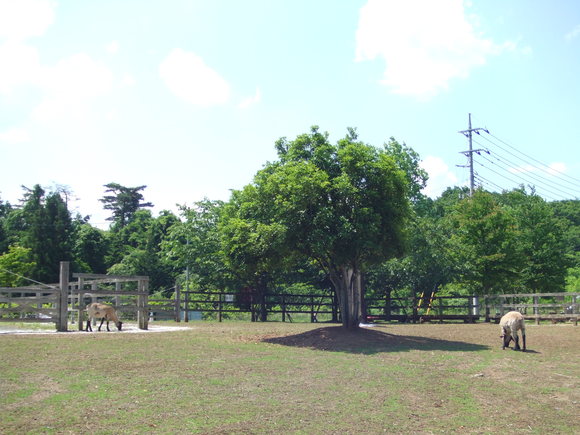 a0186689_0374175.jpg