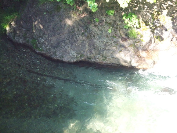 a0186689_0404042.jpg