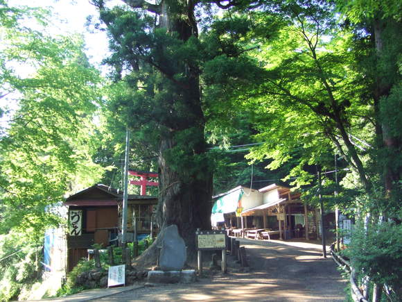 a0186689_044928.jpg