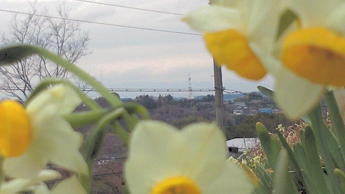 b0100489_22293754.jpg