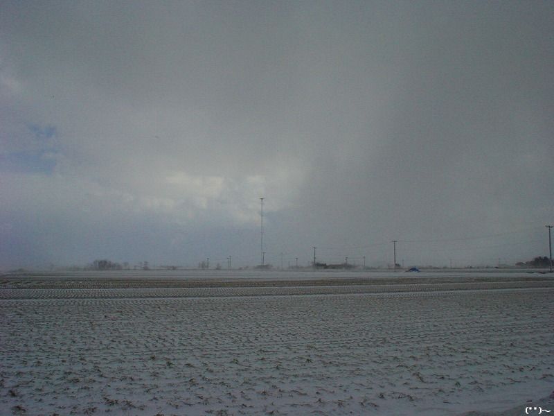 b0207491_12221478.jpg