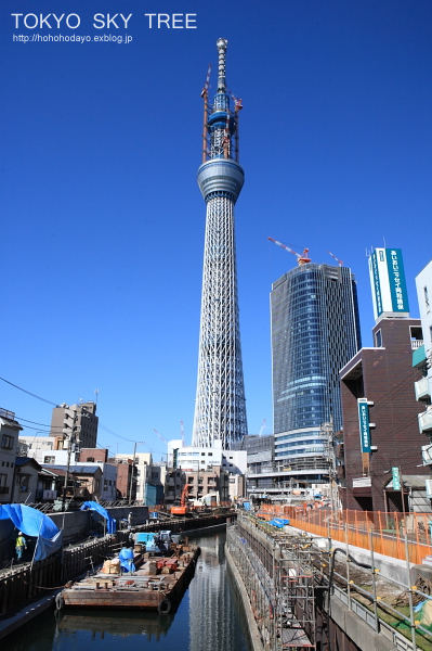 d0158191_19134638.jpg